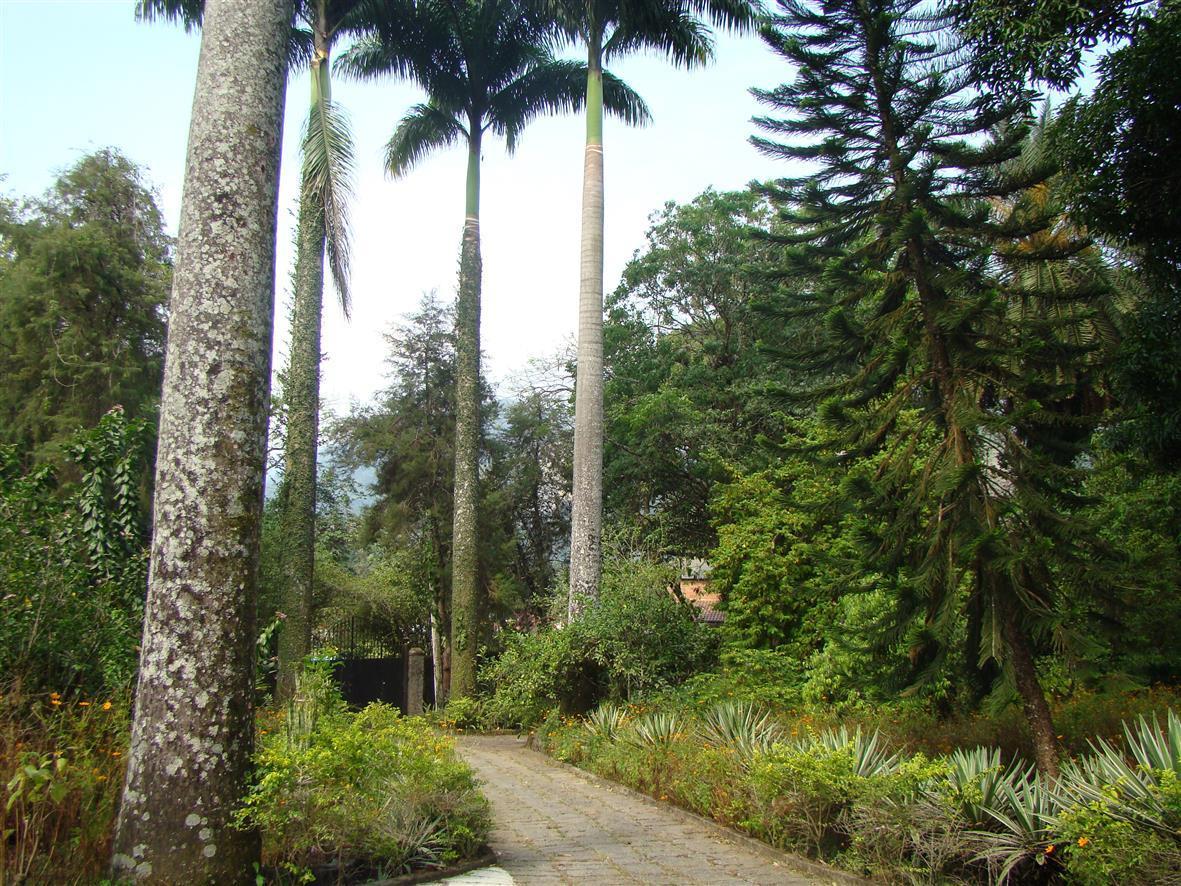卡舒埃拉斯迪马卡库Casa De Campo Dos Sonhos住宿加早餐旅馆 外观 照片